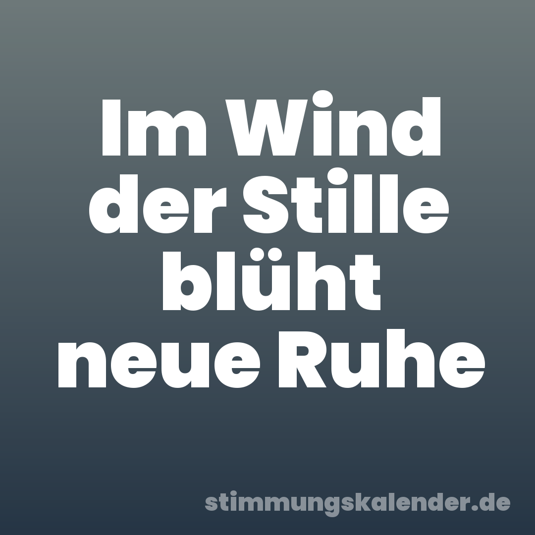 Im Wind der Stille blüht neue Ruhe