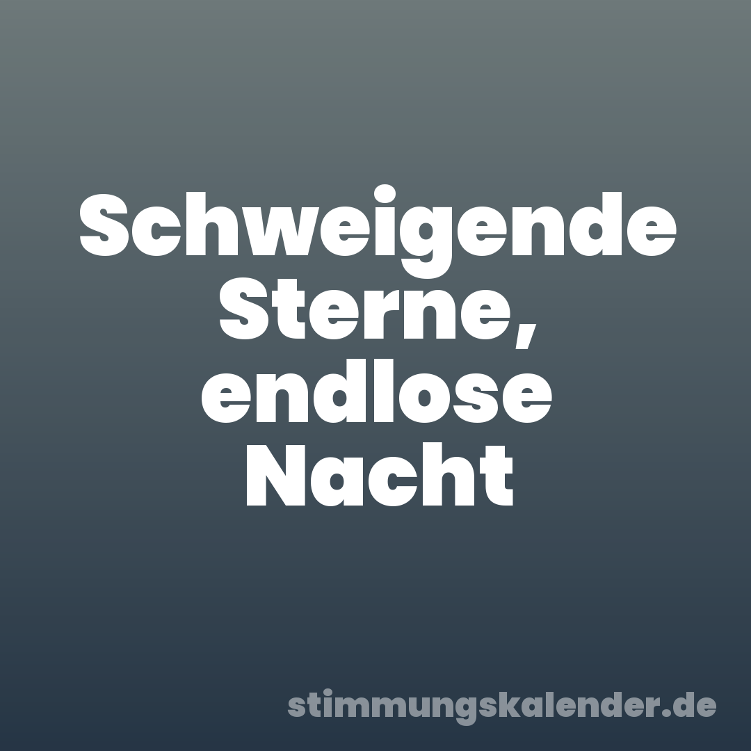 Schweigende Sterne, endlose Nacht