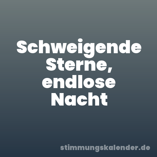 Schweigende Sterne, endlose Nacht