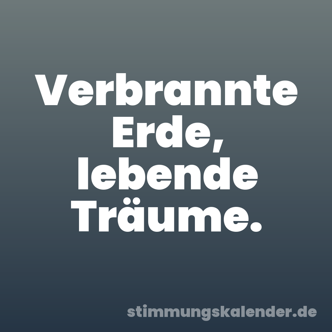 Verbrannte Erde, lebende Träume.