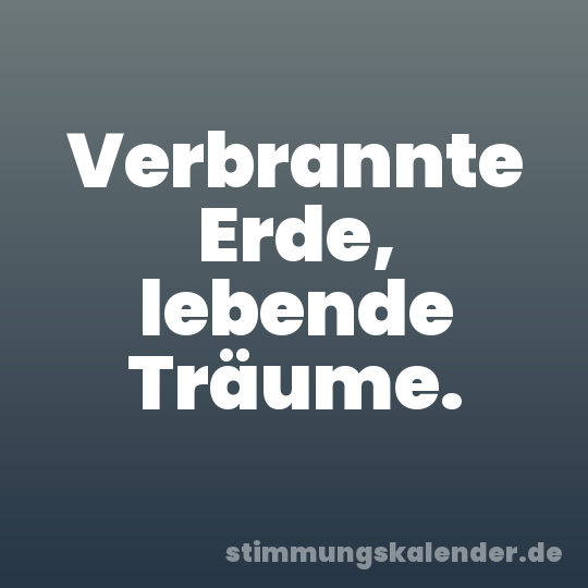 Verbrannte Erde, lebende Träume.