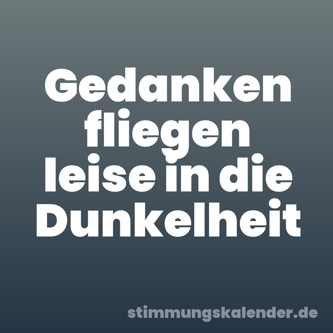 Gedanken fliegen leise in die Dunkelheit