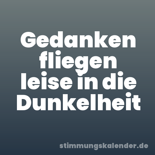Gedanken fliegen leise in die Dunkelheit