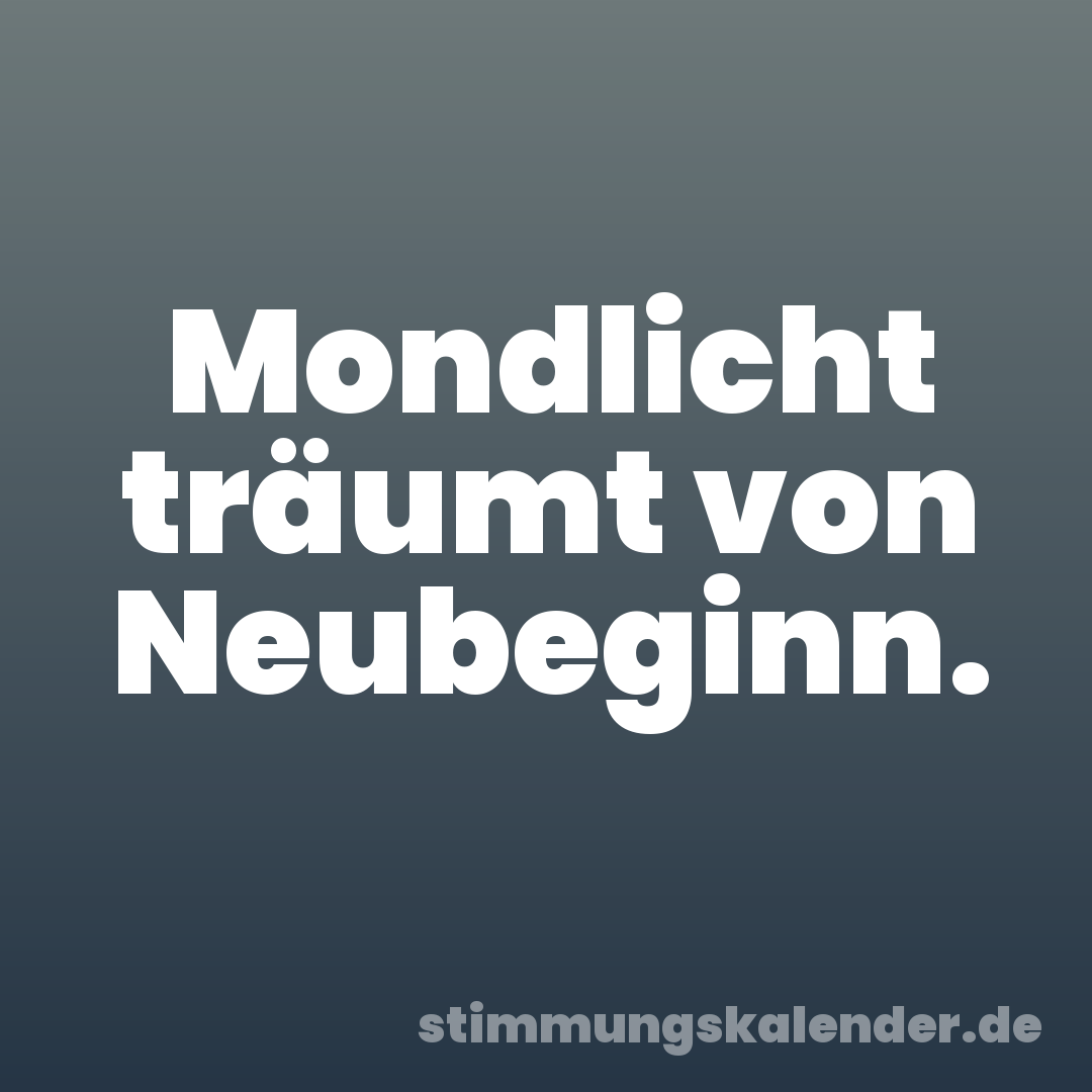 Mondlicht träumt von Neubeginn.