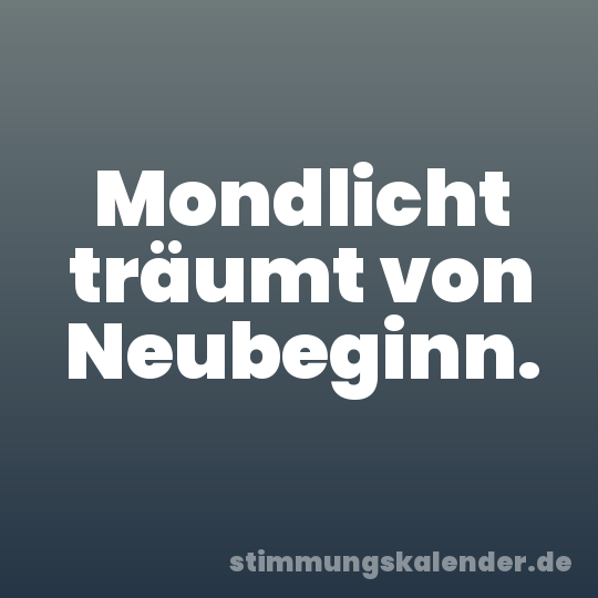 Mondlicht träumt von Neubeginn.