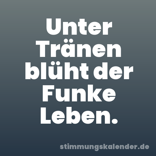 Unter Tränen blüht der Funke Leben.