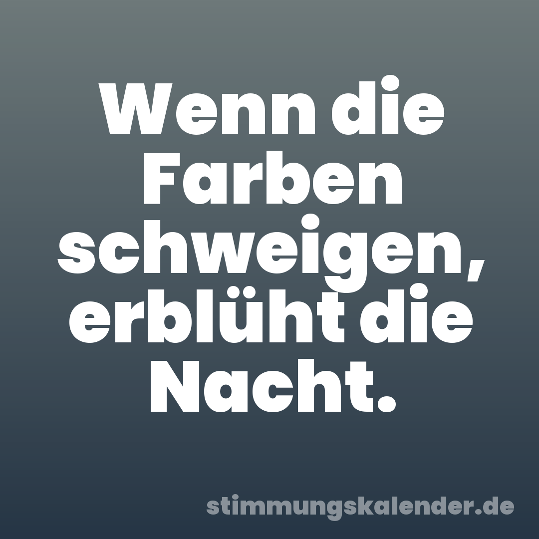 Wenn die Farben schweigen, erblüht die Nacht.