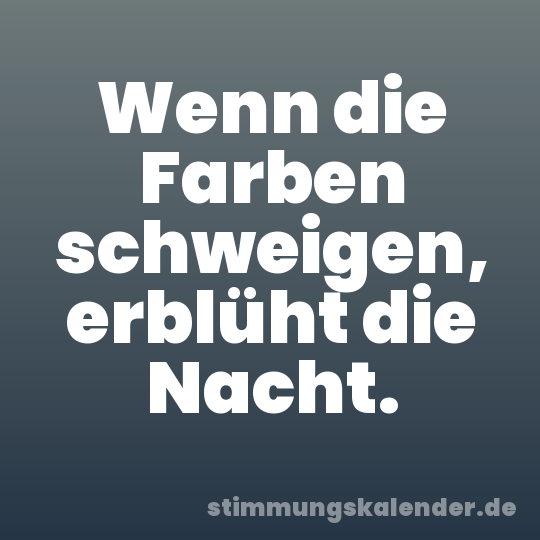 Wenn die Farben schweigen, erblüht die Nacht.