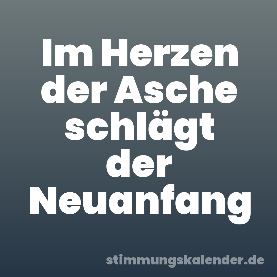 Im Herzen der Asche schlägt der Neuanfang