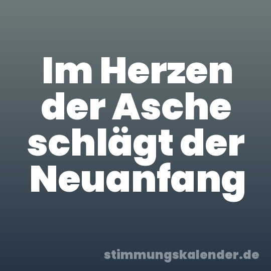 Im Herzen der Asche schlägt der Neuanfang
