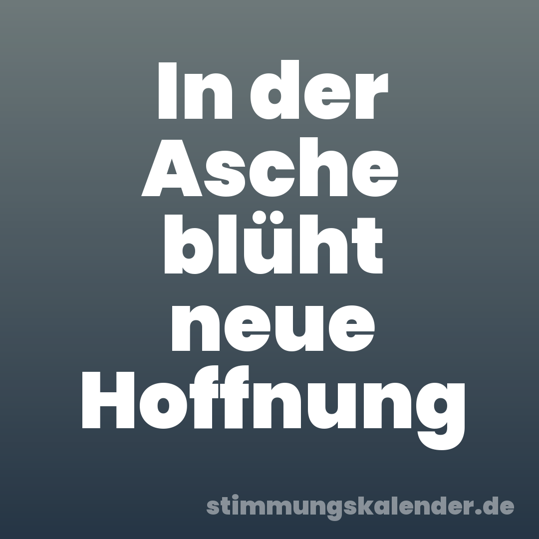 In der Asche blüht neue Hoffnung