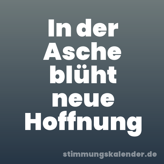 In der Asche blüht neue Hoffnung