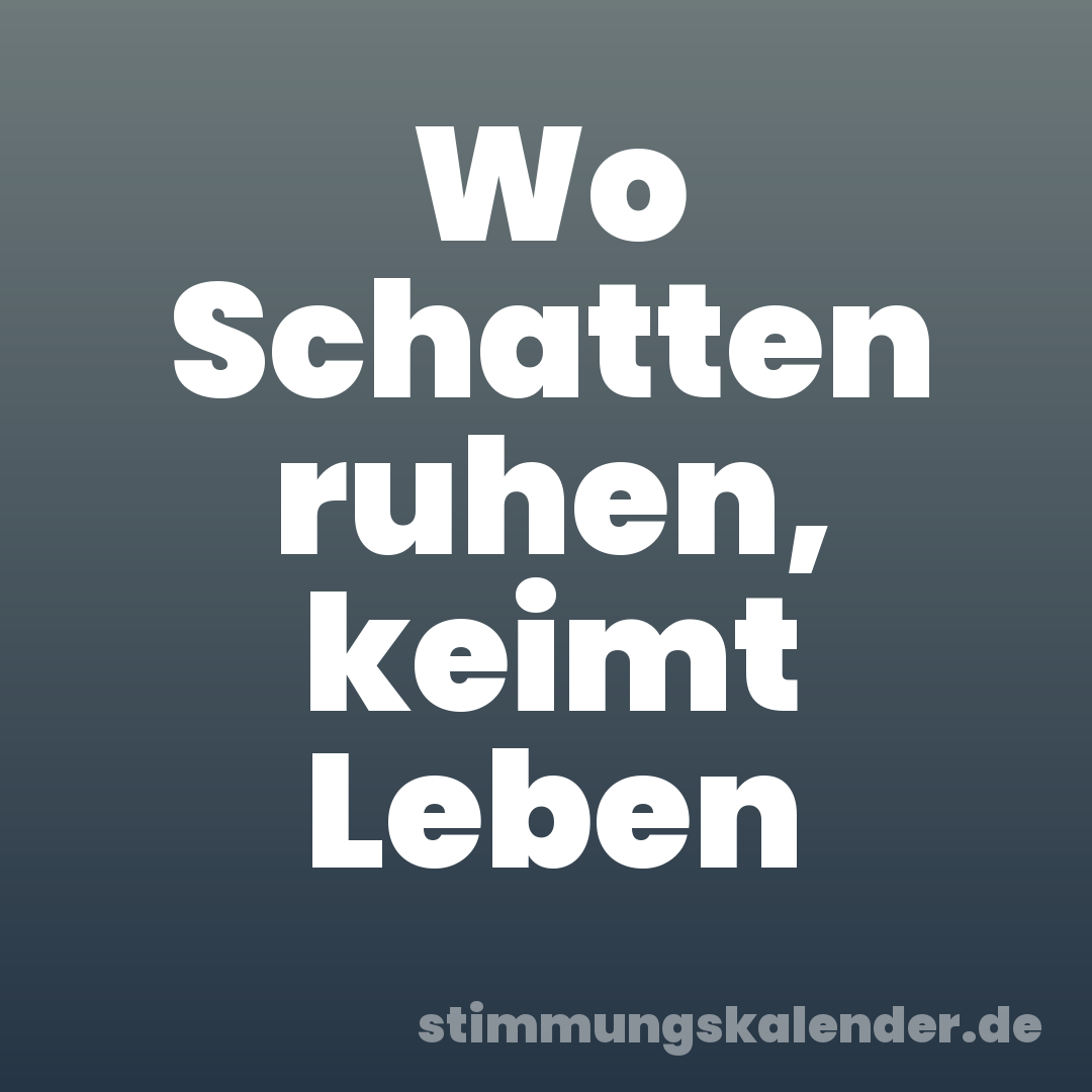 Wo Schatten ruhen, keimt Leben