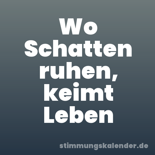 Wo Schatten ruhen, keimt Leben