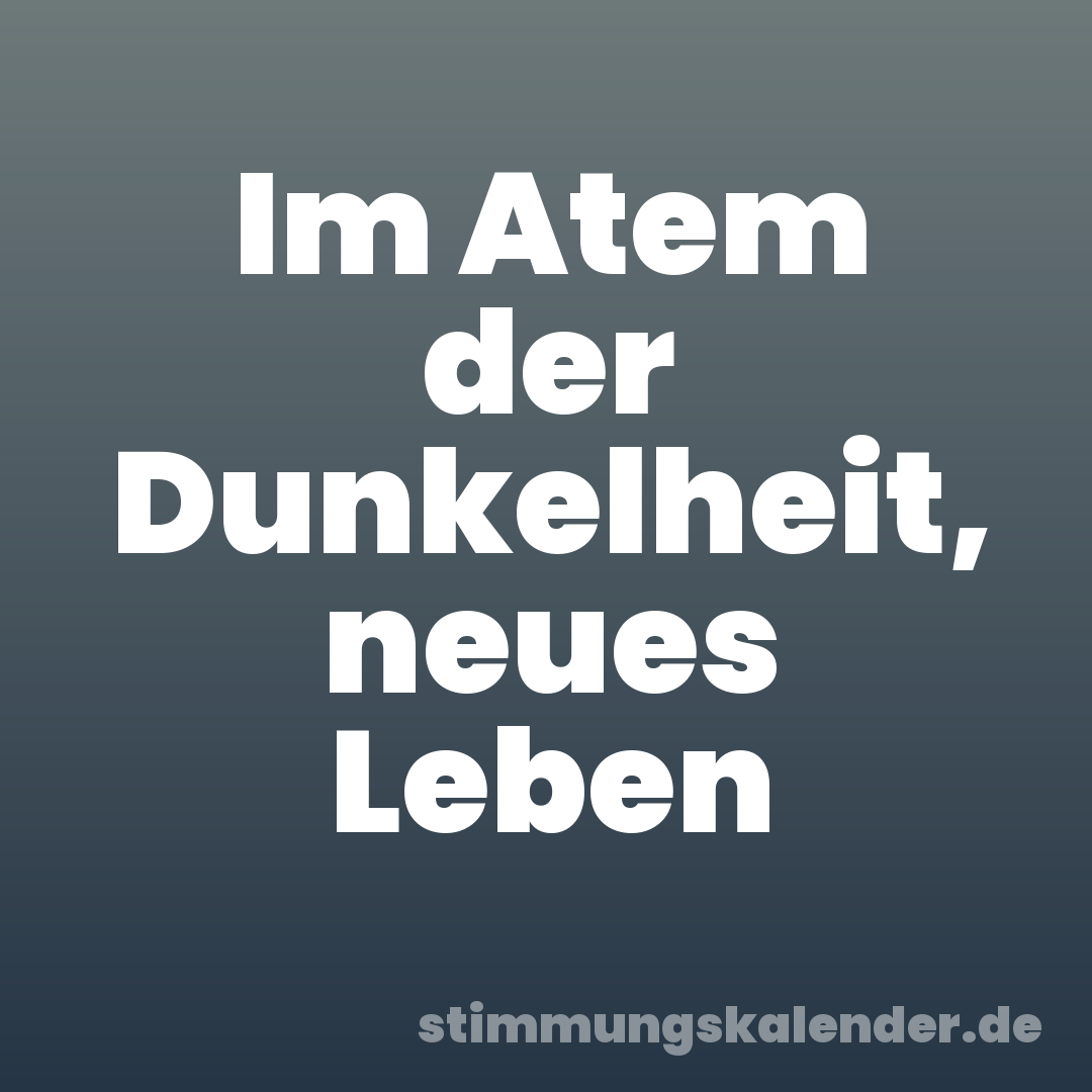 Im Atem der Dunkelheit, neues Leben