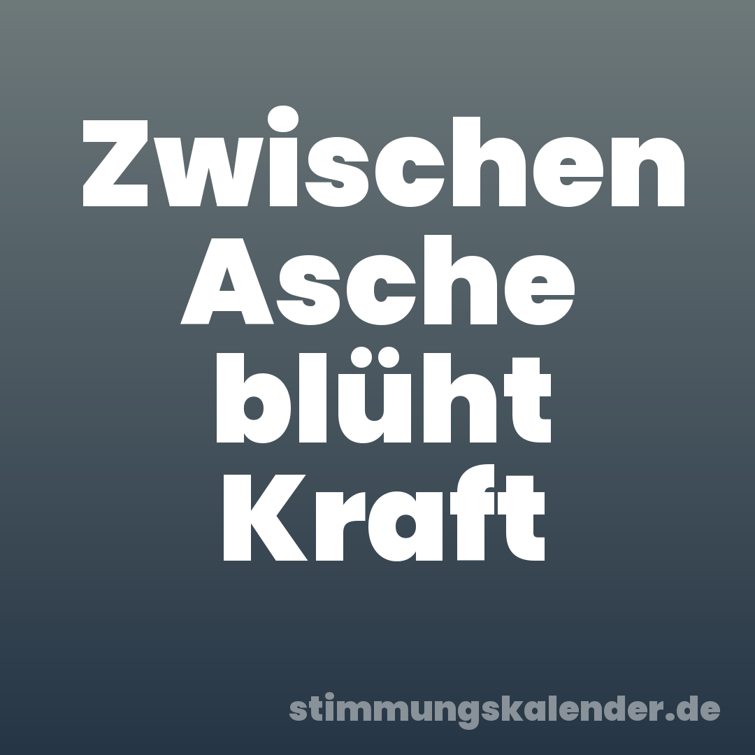 Zwischen Asche blüht Kraft