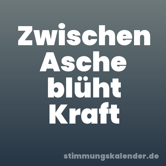 Zwischen Asche blüht Kraft