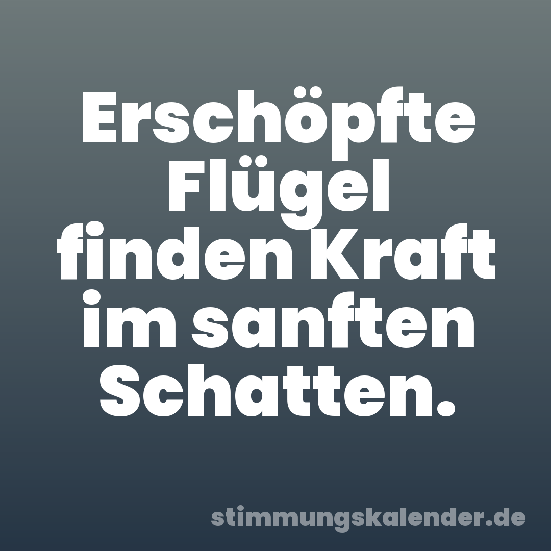 Erschöpfte Flügel finden Kraft im sanften Schatten.