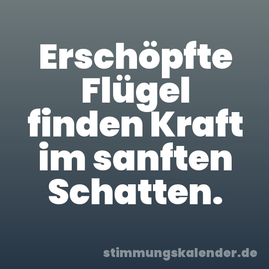 Erschöpfte Flügel finden Kraft im sanften Schatten.
