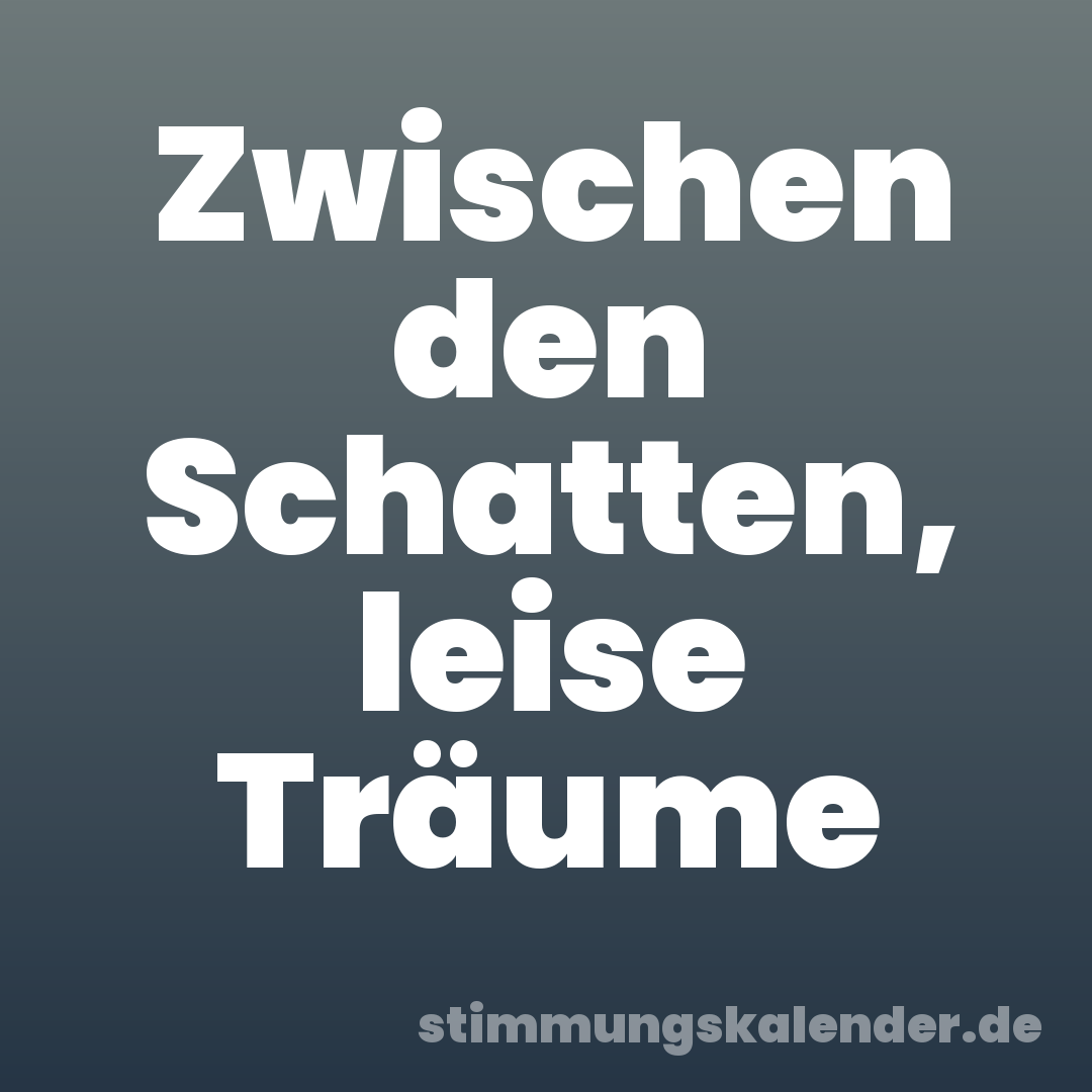 Zwischen den Schatten, leise Träume