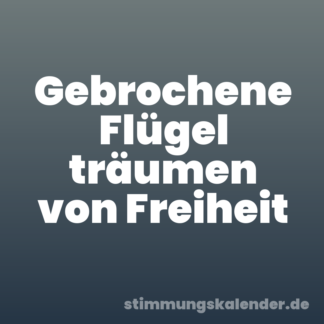 Gebrochene Flügel träumen von Freiheit