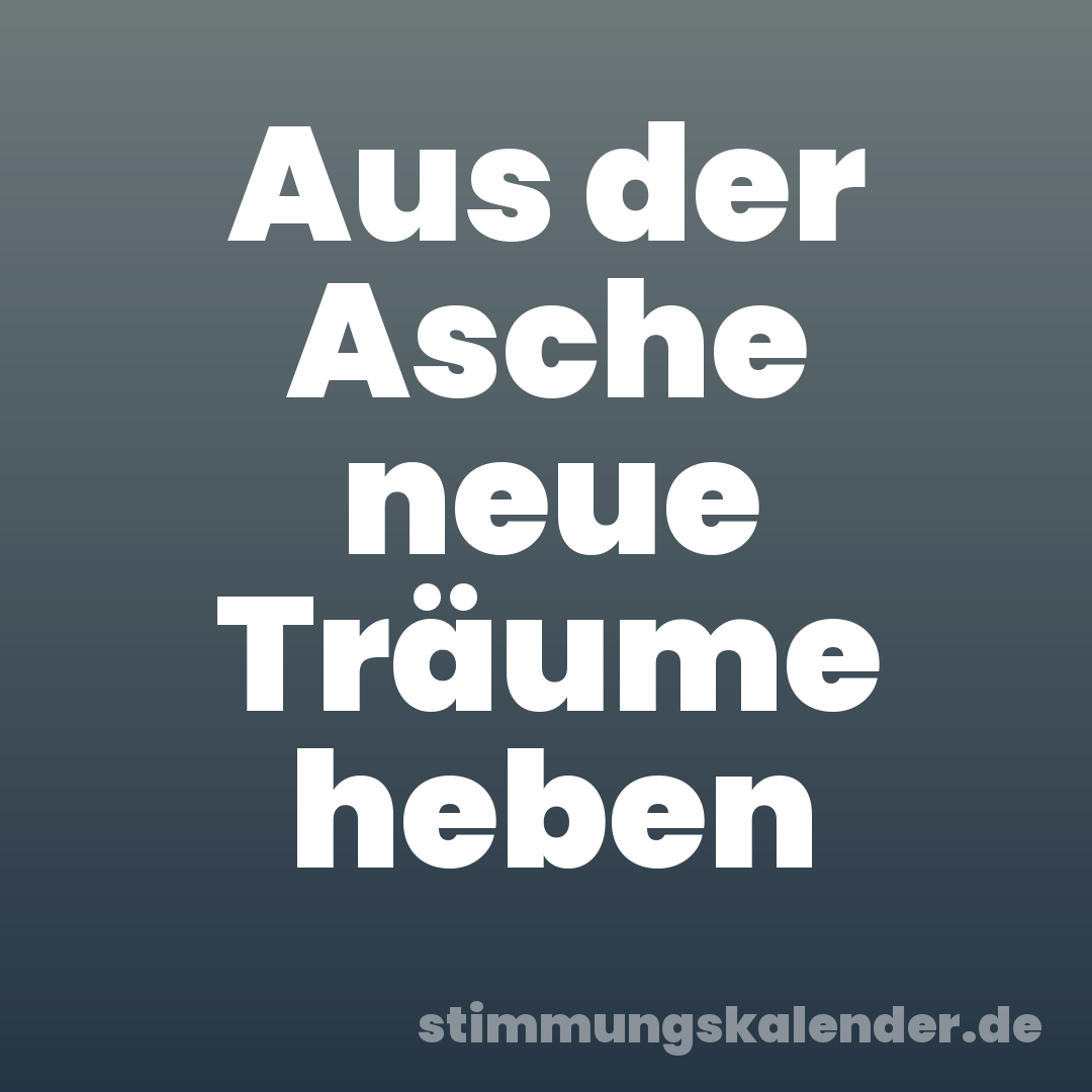 Aus der Asche neue Träume heben