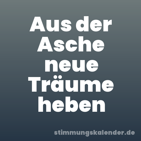 Aus der Asche neue Träume heben