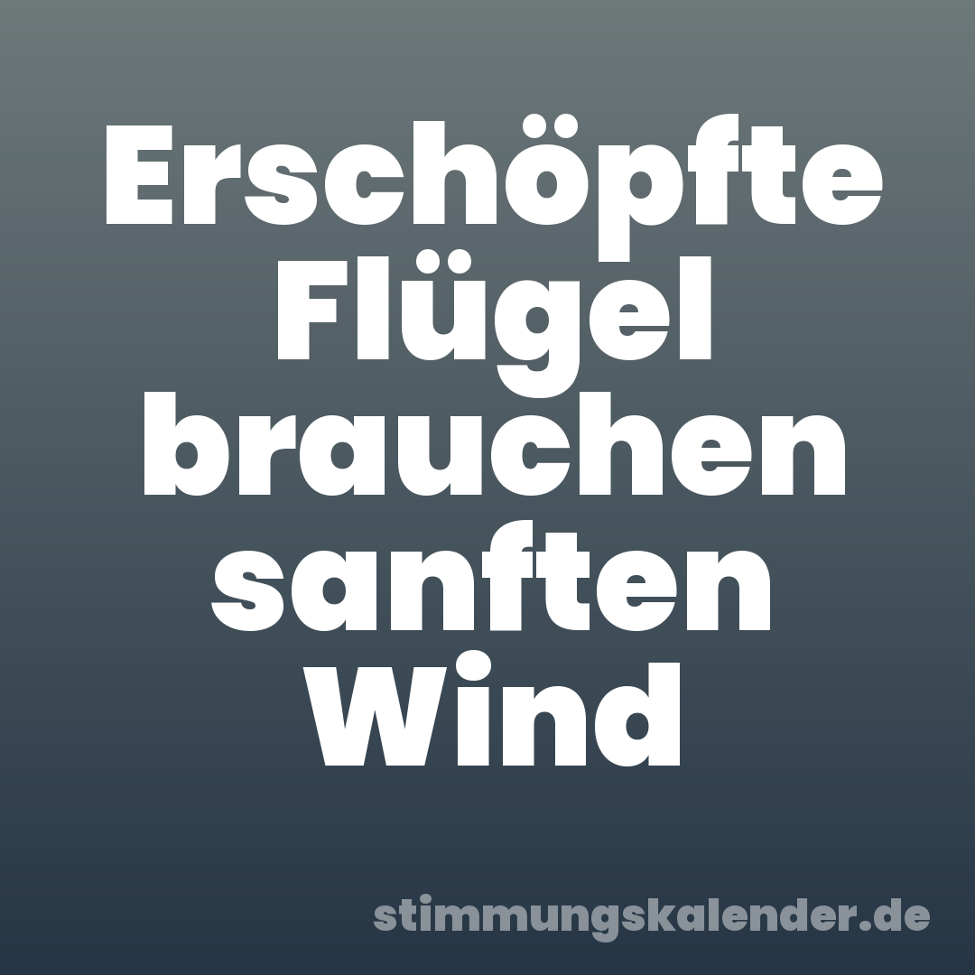 Erschöpfte Flügel brauchen sanften Wind