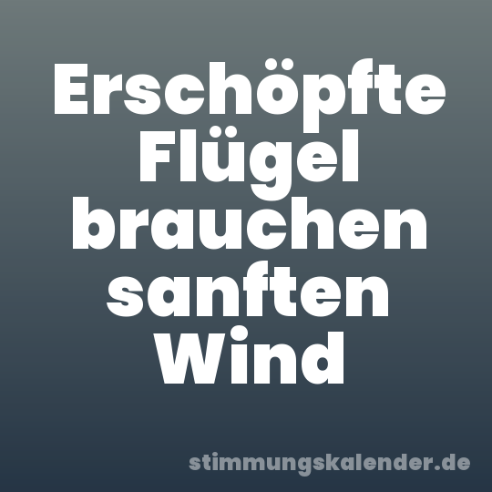 Erschöpfte Flügel brauchen sanften Wind
