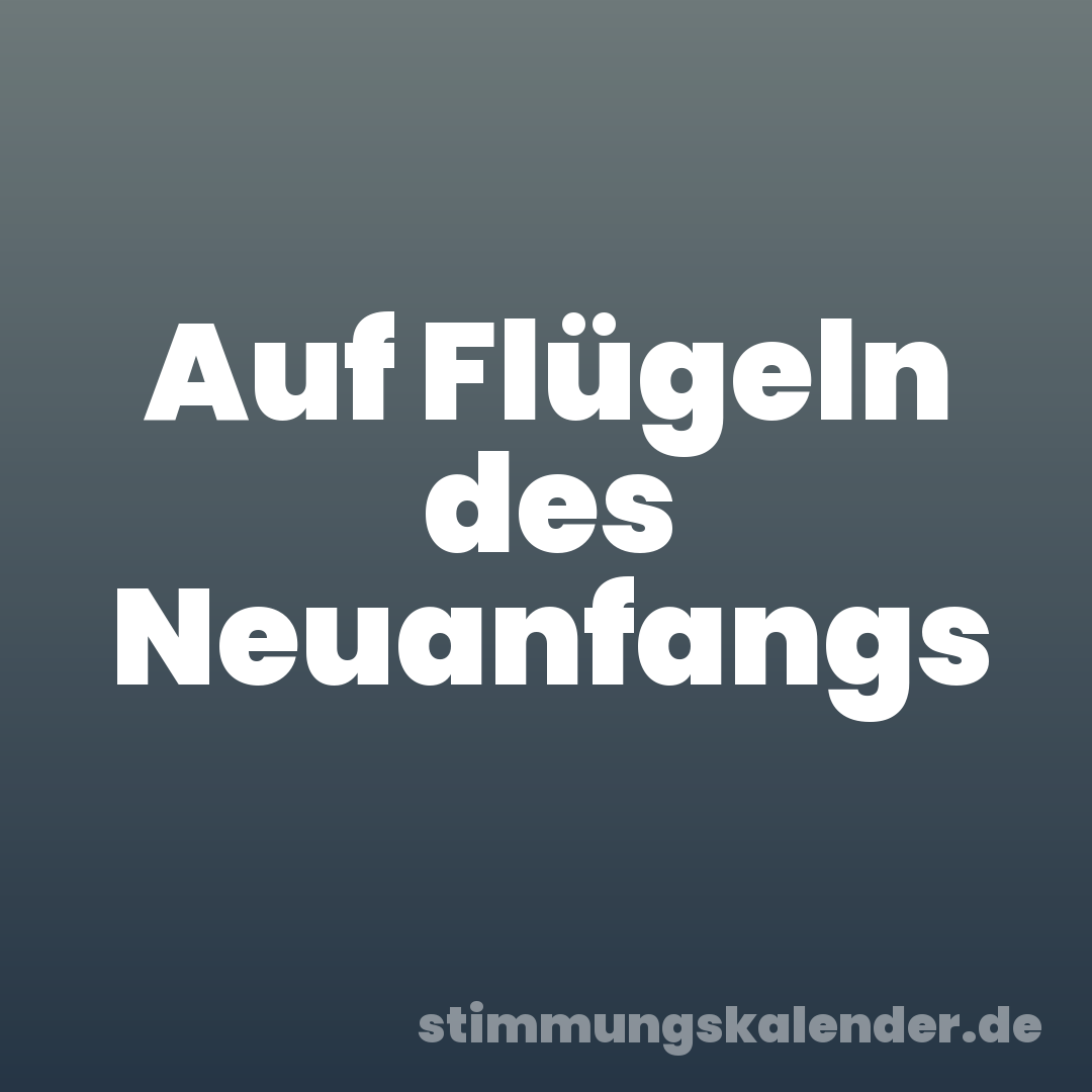 Auf Flügeln des Neuanfangs