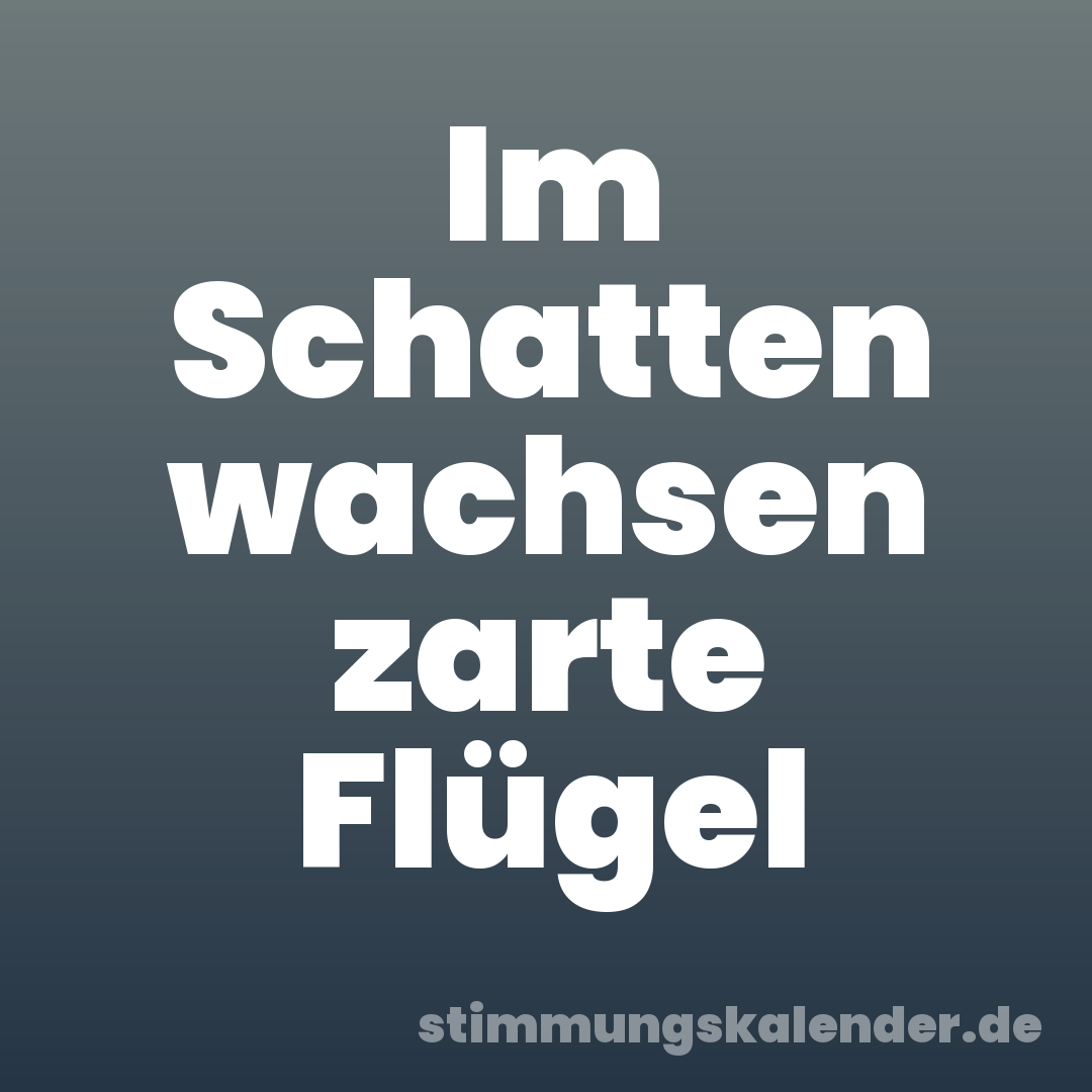 Im Schatten wachsen zarte Flügel