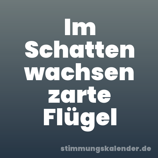 Im Schatten wachsen zarte Flügel