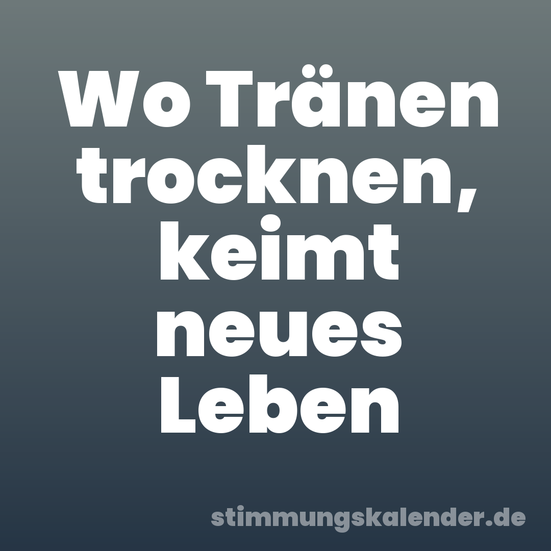 Wo Tränen trocknen, keimt neues Leben