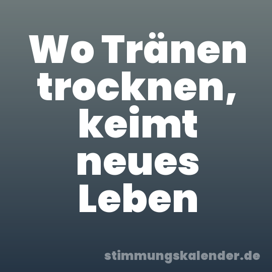 Wo Tränen trocknen, keimt neues Leben