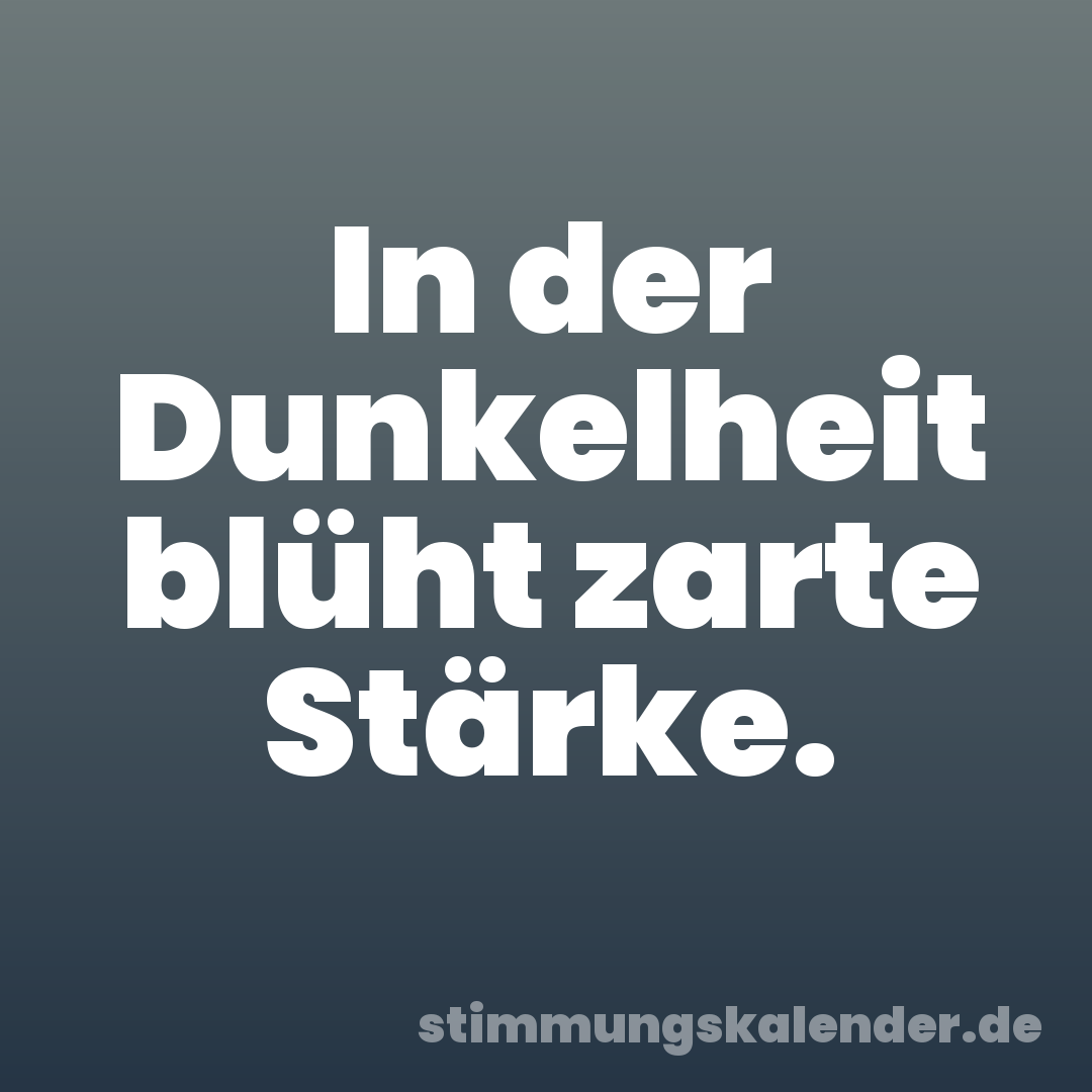 In der Dunkelheit blüht zarte Stärke.