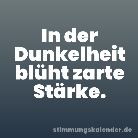 In der Dunkelheit blüht zarte Stärke.
