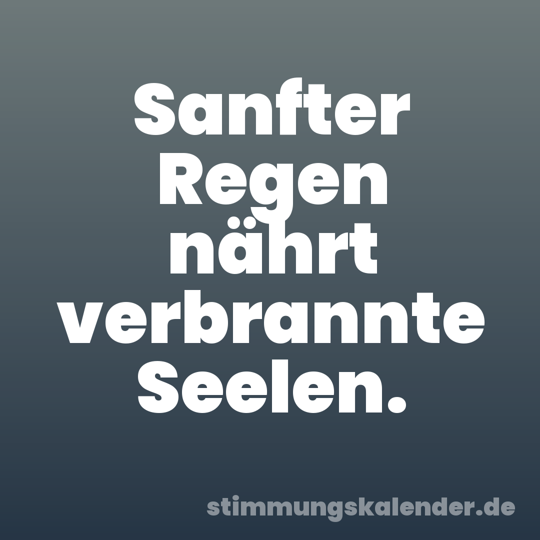 Sanfter Regen nährt verbrannte Seelen.