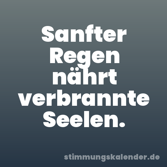 Sanfter Regen nährt verbrannte Seelen.