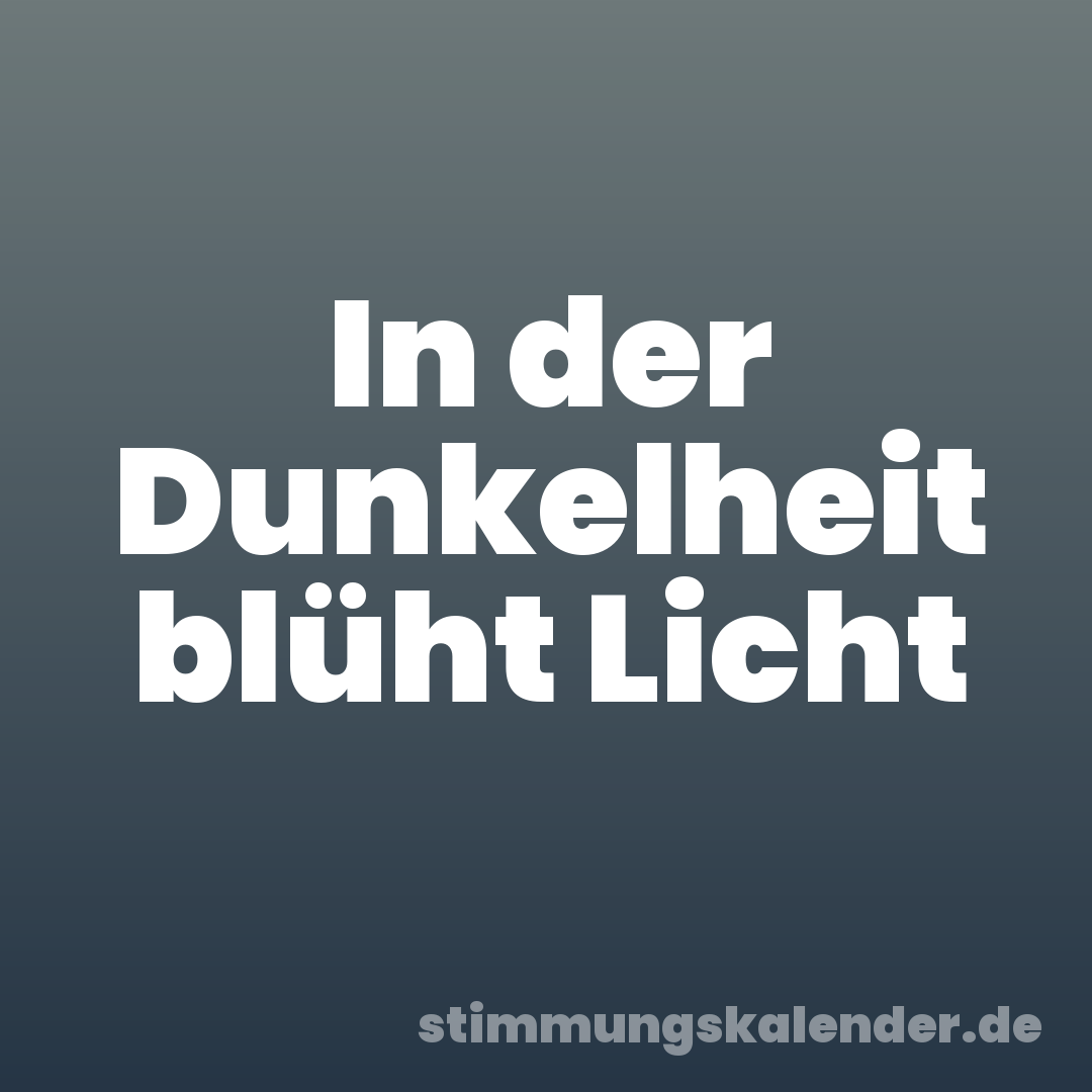 In der Dunkelheit blüht Licht