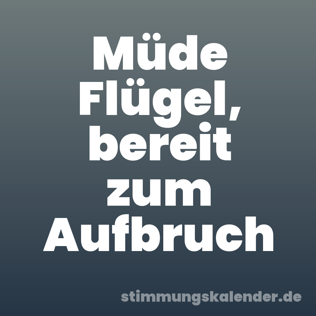 Müde Flügel, bereit zum Aufbruch