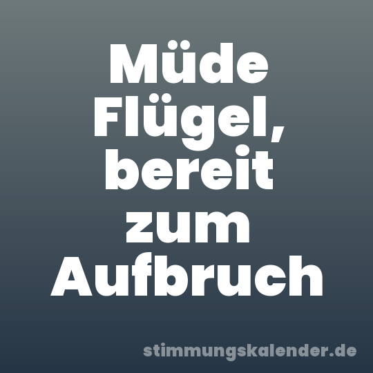 Müde Flügel, bereit zum Aufbruch