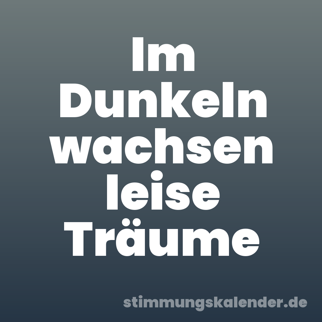 Im Dunkeln wachsen leise Träume