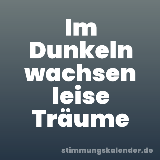 Im Dunkeln wachsen leise Träume