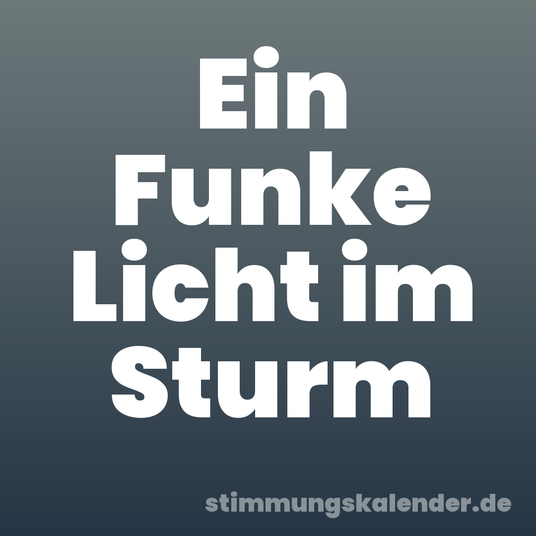 Ein Funke Licht im Sturm