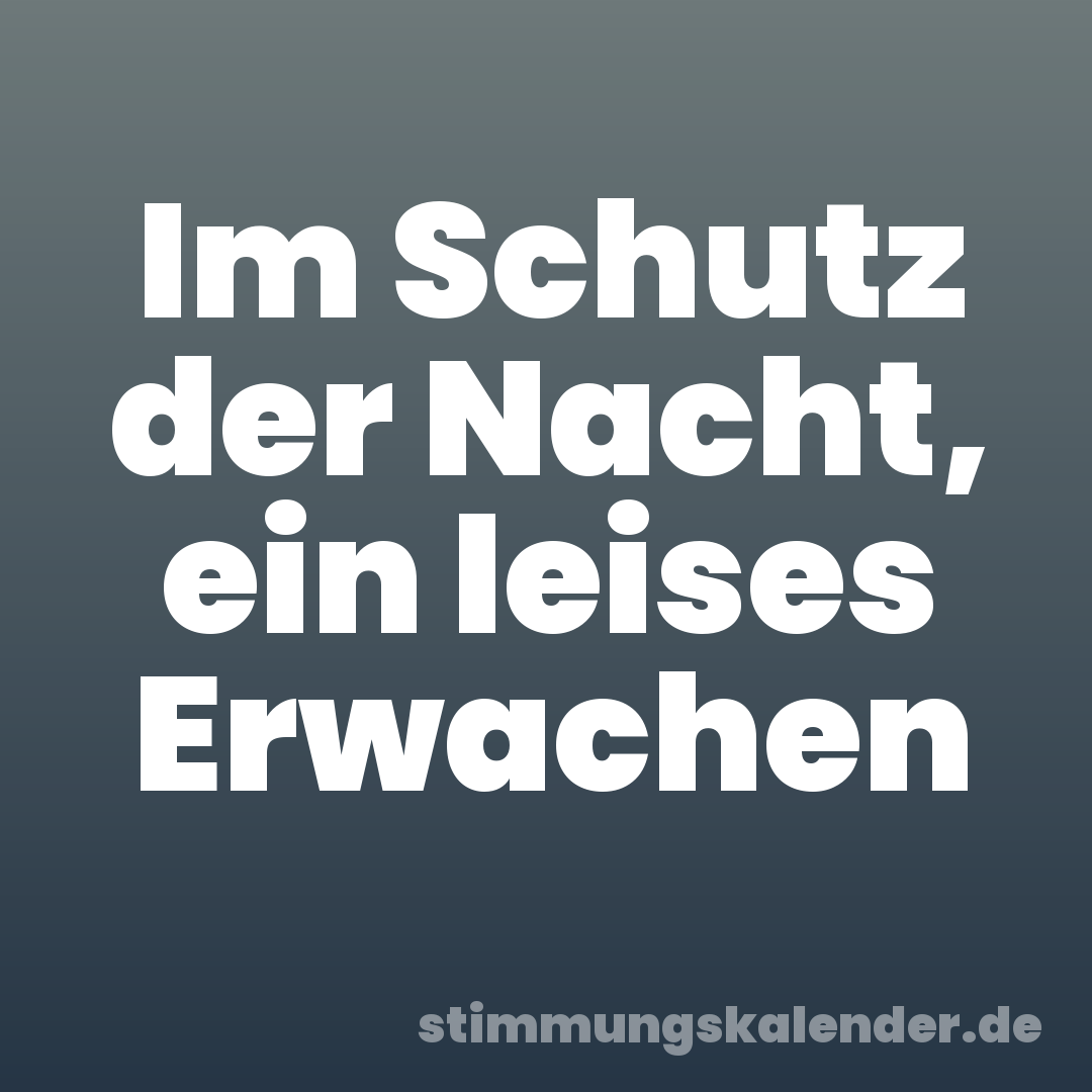 Im Schutz der Nacht, ein leises Erwachen