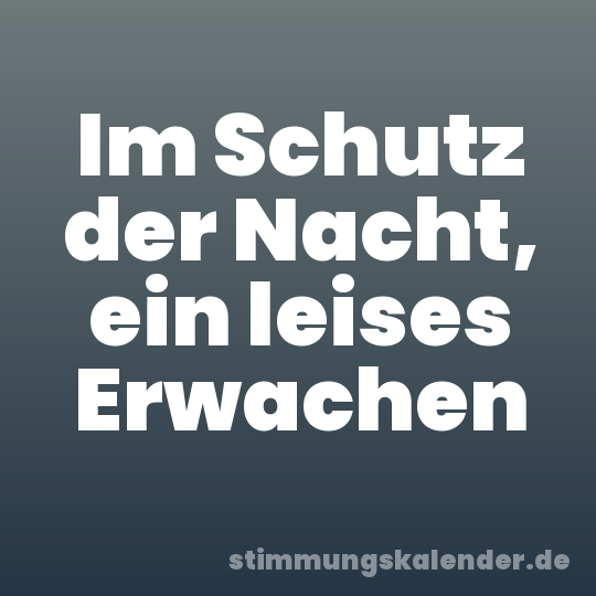 Im Schutz der Nacht, ein leises Erwachen