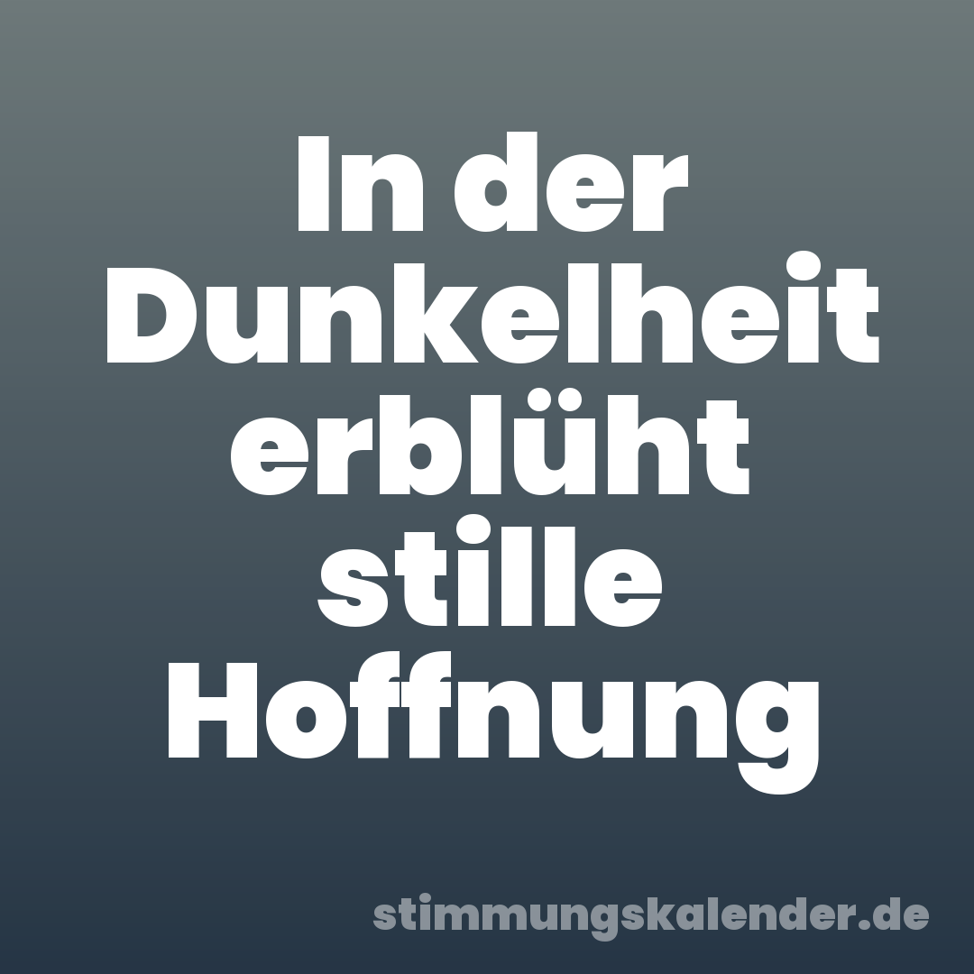 In der Dunkelheit erblüht stille Hoffnung