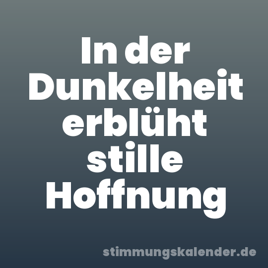 In der Dunkelheit erblüht stille Hoffnung