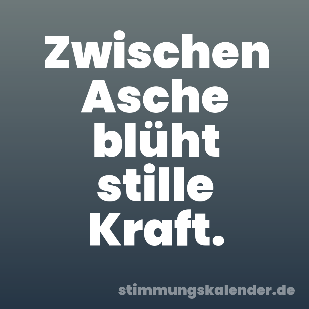 Zwischen Asche blüht stille Kraft.