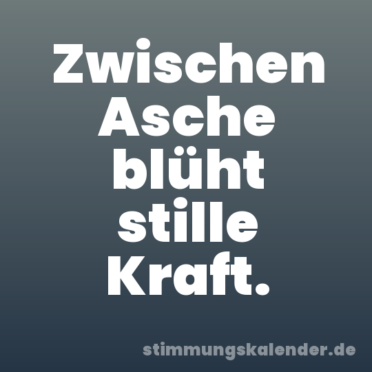 Zwischen Asche blüht stille Kraft.